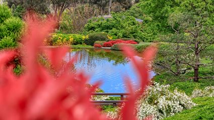 Japanese Garden - Cowra 